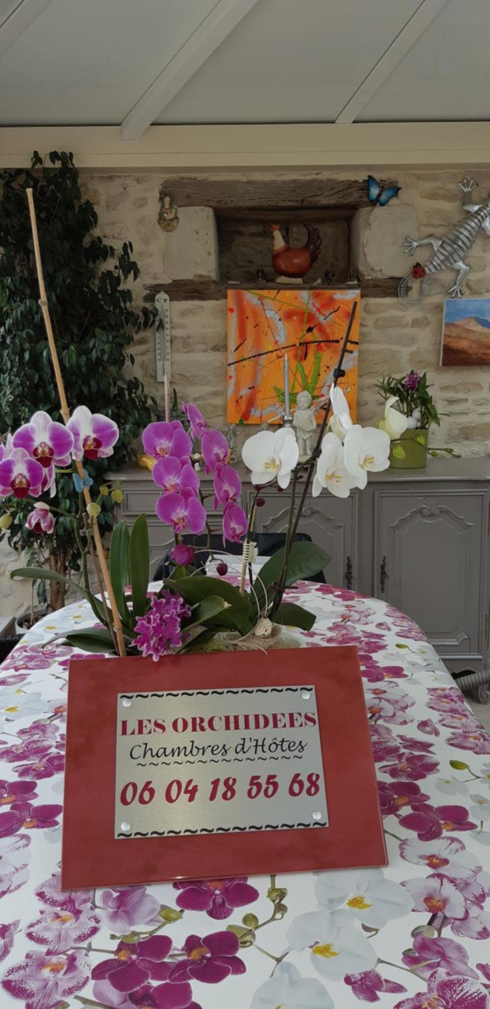 Les Orchidees Chambre Hotes Futuroscope Chasseneuil Poitiers Jaunay-Clan Kültér fotó